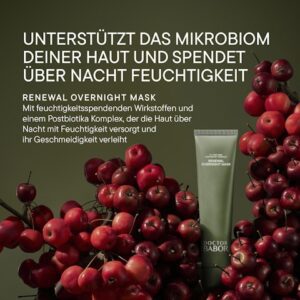 Dr. Babor-Renewal-Overnight-Mask