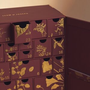 Team-Dr-Joseph-Advent-Calendar